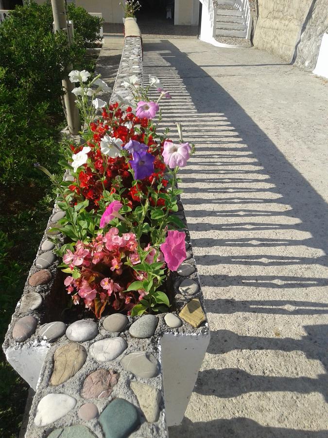 Apartament Beautiful View Kotor Zewnętrze zdjęcie